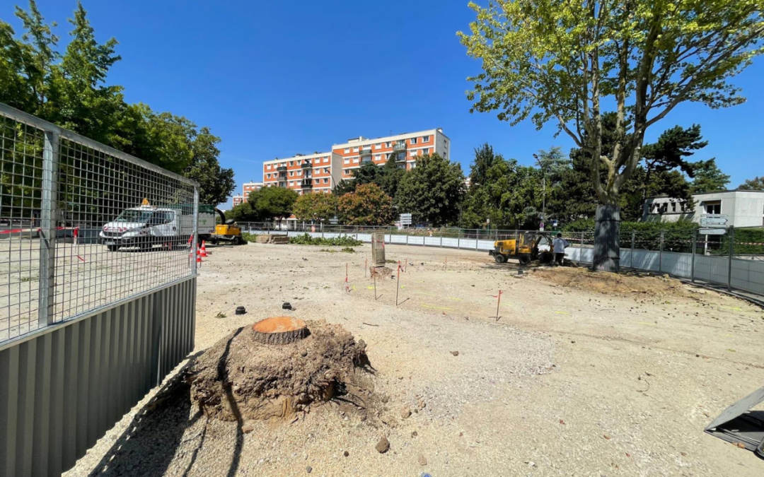 Charte de l’arbre : à Malakoff, il est temps d’aboutir